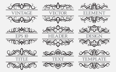 Vintage elements with a header field. Set of titles decorations.