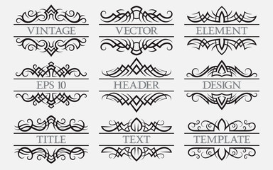 Vintage elements with a header field. Set of titles decorations.