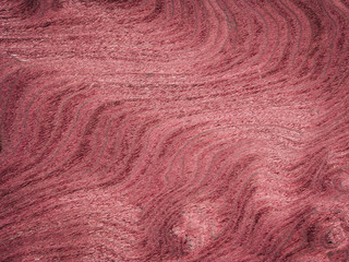 interior design concept from close up red coating on wooden texture with old and natural surface background