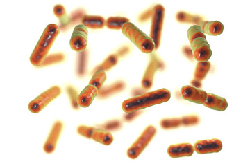 Bacteria Bacteroides fragilis, one of the major components of normal microbiome of human intestine, 3D illustration