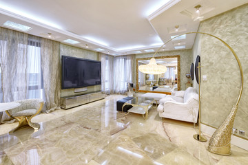 Modern design interior of living room in a luxury apartment.