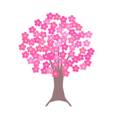 桜の木