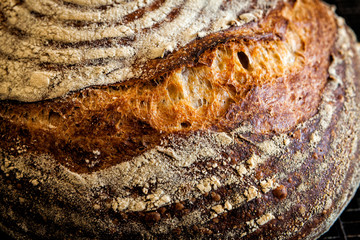 Delicious rustic sourdough baked bread 2