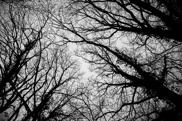 La campagne en Hiver