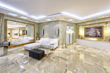 Modern design interior of living room in a luxury apartment.