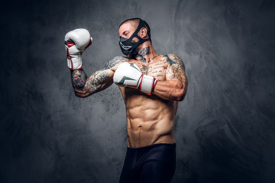 Fighter male over grey vignette background.