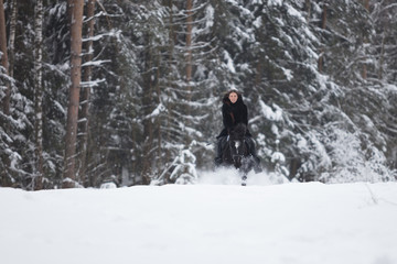 Black Horse running in snow on Winter background