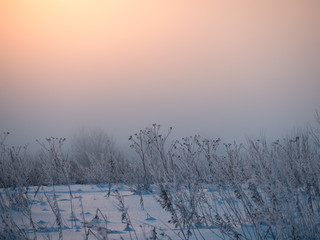 Sunny winter day, the sun rises, illuminating everything around it with its warm rays