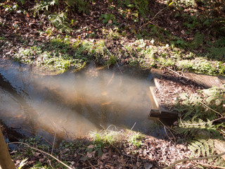 close up of running stream water through forest floor spring nature