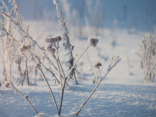 Obraz premium Sunny winter day, the sun rises, illuminating everything around it with its warm rays