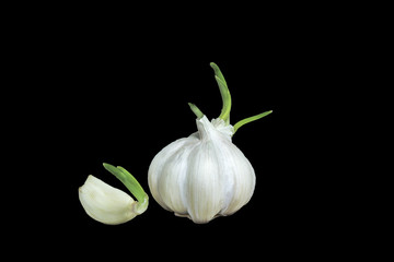 Isolated garlic. Raw garlic with segments isolated on white background, with clipping path