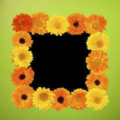 Beautiful Summer Floral photo Frame