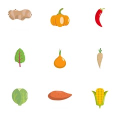 Veggie icons set. flat set of 9 veggie vector icons for web isolated on white background