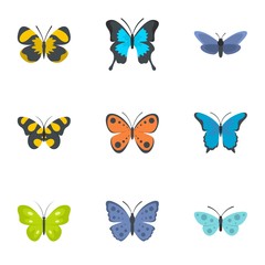 Obraz premium Moth icons set. flat set of 9 moth vector icons for web isolated on white background