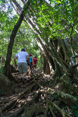Naklejka na ściany i meble Hiking in Costa Rica