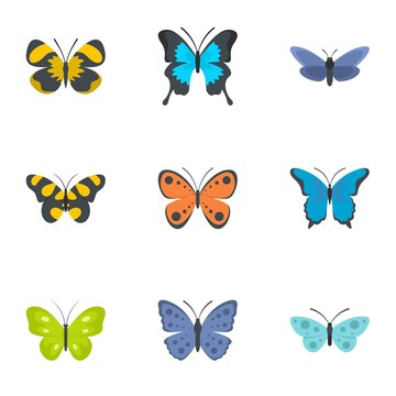 Moth icons set. flat set of 9 moth vector icons for web isolated on white background