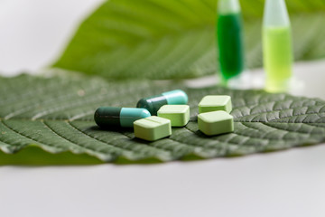 Science Research leaves of Mitragyna speciosa (kratom) and Chemical analysis  in Lab.