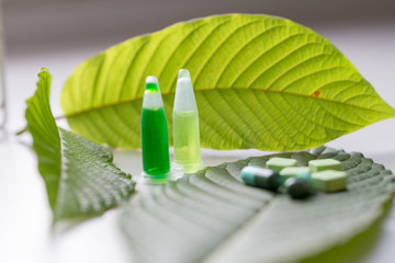 Science Research leaves of Mitragyna speciosa (kratom) and Chemical analysis  in Lab.