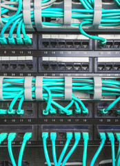 Light blue patch cord internet cables