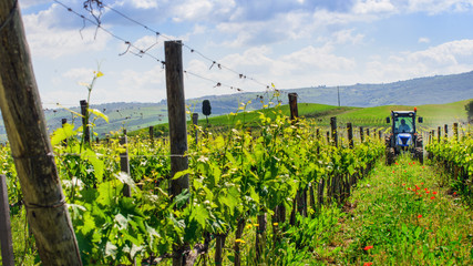 weinberg © Igor
