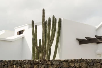 Gordijnen white house with cactus in Lanzarote canary © Snapvision