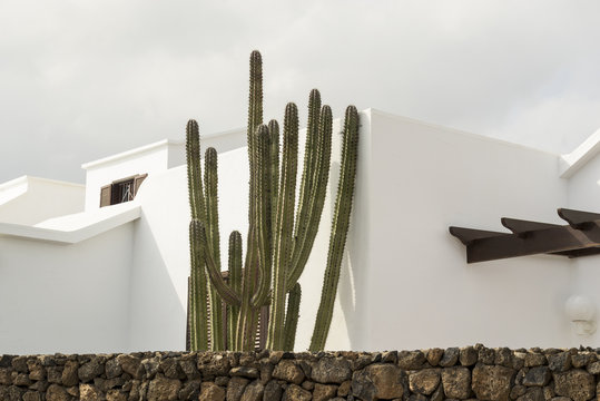 white house with cactus in Lanzarote canary