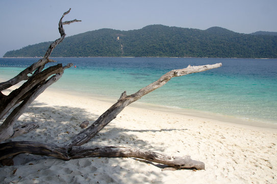 Beautiful island beach that have many tourists visiting at Tarutao national park and Koh Lipe in Satun. THAILAND