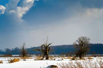 Dolina Górnej Narwi © podlaski49
