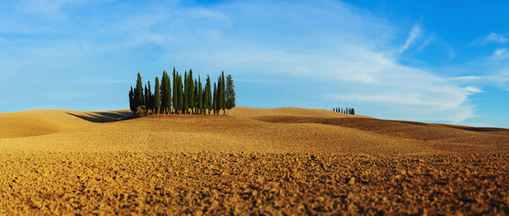 Landscape view of Val d'Orcia, Tuscany, Italy