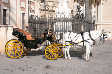 Horse and cart in Seville