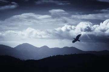 Tuinposter vogel die over heuvels en bergen vliegt in een fantastisch landschap © andreiuc88