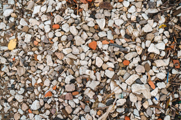 pebble beach with small pieces of waste