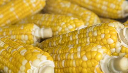 Raw sweet corn