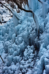 尾ノ内氷柱 / 日本の埼玉県にある観光スポット