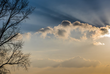 Baumsilhouette im Sonnenuntergang, Wolken, Wolken und Sonnenstrahlen, orange blau