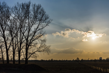 Landschaft im Sonnenuntergang, schöner Sonnenuntergang mit Wolken, Baumsilhouetten im Sonnenuntergang, Sonnenstrahlen mit Wolken