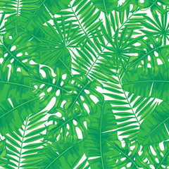 Seamless pattern with various tropical leaves - banana,palm and monstera. Element for design.
