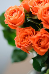 rose