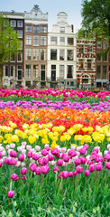 Houses of Amstardam, Netherlands