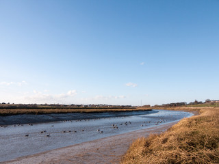 stream river landscape view blue water coast essex estuary with geese