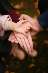 Family holds hand in hand on the background of autumn leaves