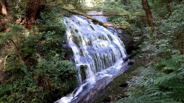 Waterfall at Kew Mae Pan Nature Trail, Chiangmai, Thailand.