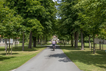 Radwanderung in Ostwestfalen Allee Wasserschloss Hovestadt Gemeinde Lippetal