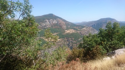 paysage montagne nature arbre horizon ciel bleu