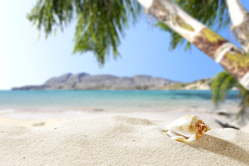 Fototapeta na wymiar summer sand and shell with beach landscape 