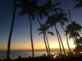 Silhouette of Palm Trees and Tiki Torches During a Sunset on Waikiki Beach, Oahu, Hawaii