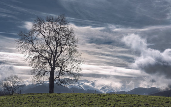 Fototapeta Paysage de montagne