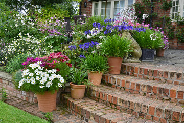 A country house terrace with colourful planting of cosmos and mixed planting