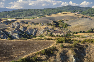 Summer landscape near Asciano
