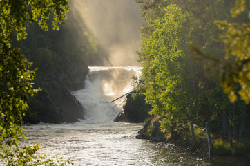 Waterfall in northern Finland in summer. Golden sunlight. - obrazy, fototapety, plakaty